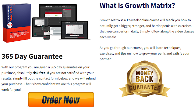 The Growth Matrix PDF 2